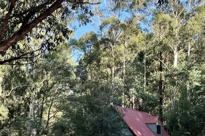 Image de Tranquil getaway amidst nature in Icy Creek, near Toorongo Falls & Mt Baw Baw.
