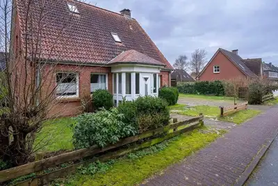 Image de Stranddistel, Deutschland