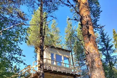 Image de High in the trees in northern Sweden with lake views and moose under the terrace