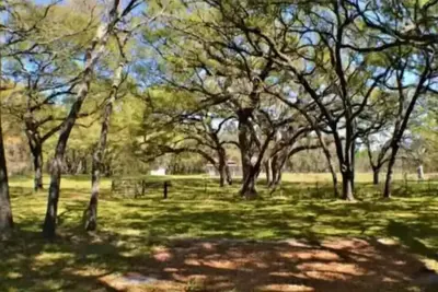 Image de Big and Little Oak @ Wfl Event Ranch