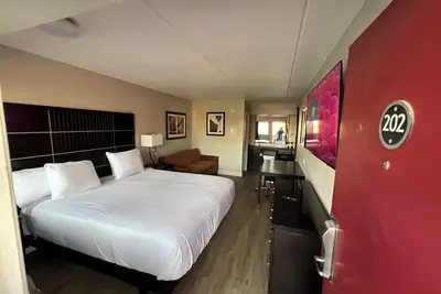 Image de Modern Studio with King Bed and Queen Sofa Sleeper In Central Baton Rouge