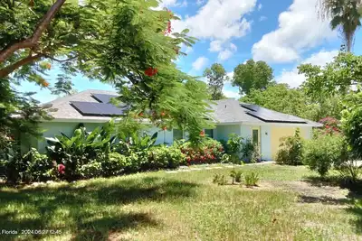 Image de Tranquil palm-lined home with private saltwater pool & bikes - dog-friendly