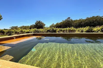 Image de Renovated Mas at the Foot of Ventoux 10/12 People With Swimming Pool