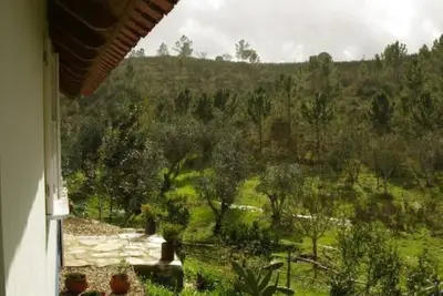 Image de Monte da Gravita - One-Bedroom House