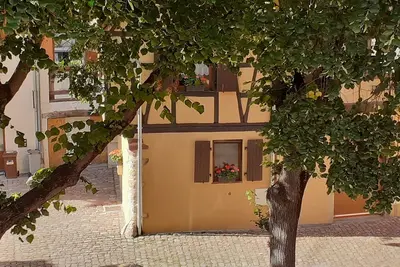Image de Belles vacances en Alsace, proche Colmar - gîte de la Muse