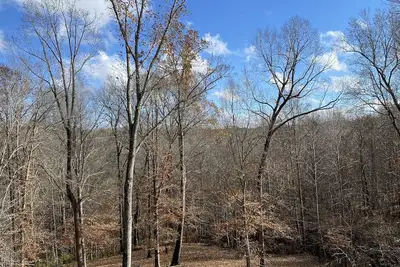 Image de Country Charm City Convenience: Beautiful 3-Bedroom 2. 5-Bath Home Forest Views