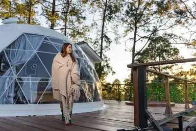 Image de Luxury Geodesic Eco-Dome in Nature: Glamping in Tiny Pines - Terra Dome