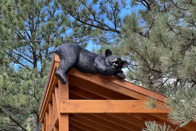 Image de Bear House – Spacious Home with Hot Tub, Near Downtown Estes Park – Ev #3073