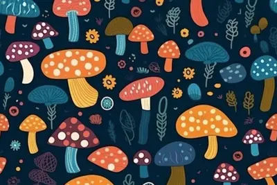Image de 333168kskmdwdfef dn