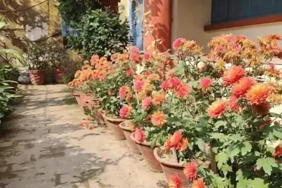 Image de Cozy Escape Nest, Varanasi\n\n