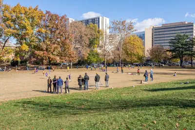 Image de Crystal City Boutique Flats 2br / Free Parking 204