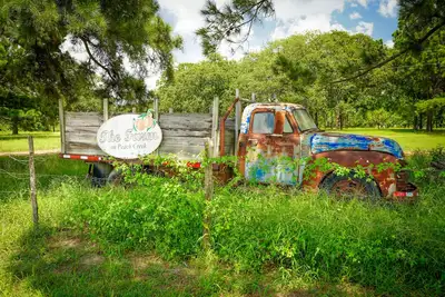 Image de The Baugh Farm-Country Living near Atx