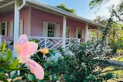 Image de The Pink @ Hoopers Bay Beach