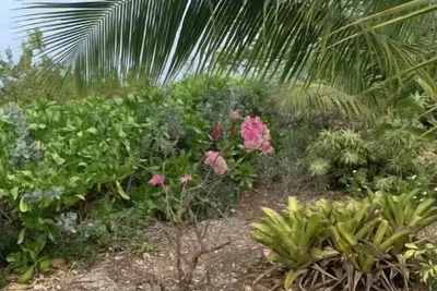 Image de Cozy Retreat condo close to the Ocean