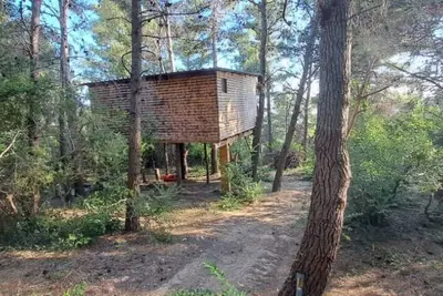Image de Treehouse in Ljubac