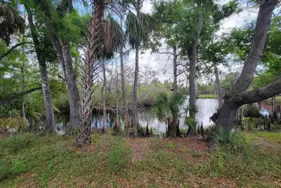 Image de Riverfront Cabin W/Kayaks