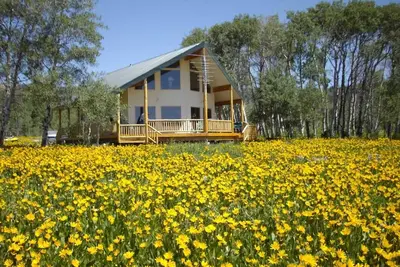 Image de Superb 5-bedroom 4. 5-bathroom with Brand New Hot Tub! Freshly Updated!
