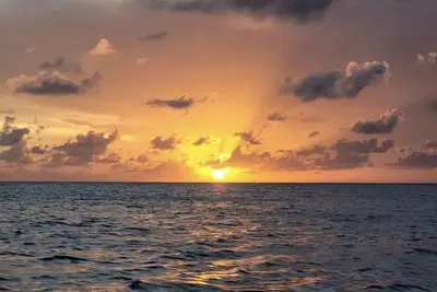 Image de Charming 2-bedroom house in enchanting Islamorada.