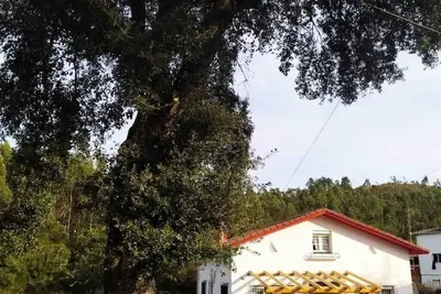 Image de Maria La Franca near Llanes in Asturias