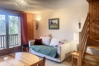 Duplex 3 pièces au cœur de Combloux, proche navette ski, balcon Mont Blanc, parking et casier à skis
