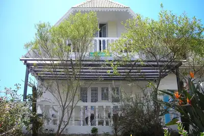 Image de Les Bougainvilliers