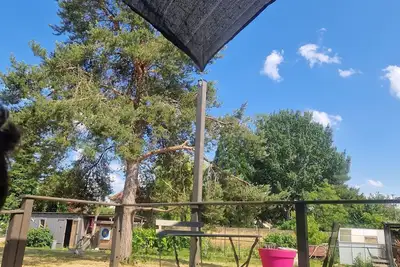 Image de L'écolodge de Laéti