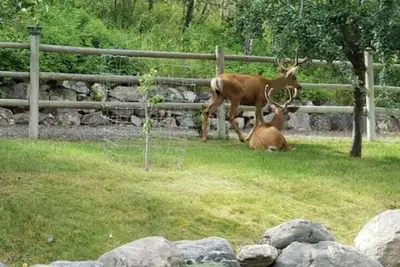 Image de Mountain Chateau - At Big Sky Estate