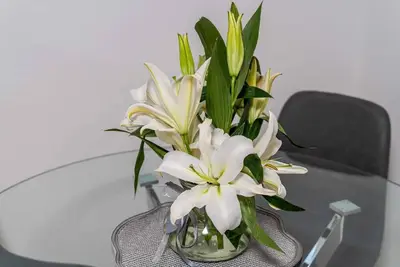 Image de Apartment Knego in enchanting Dubrovnik with free parking