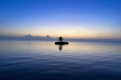Image de Mermaid Manor! An Island, Pool and Tropical Heaven!
