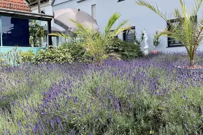 Image de Apartment mit Duschbad, Wintergarten und Terrasse im Schönen Taunus, Ruhige Lage