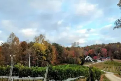 Image de Cozy Country Cabin HotTub Fireplace Walk to Vineyard nextdoor