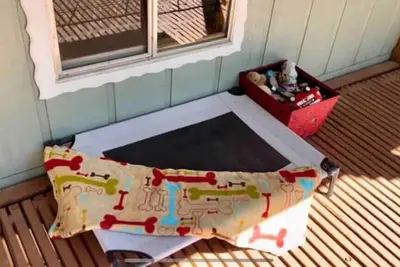 Image de Beautiful cabin nestled in the woods, close to tons of breathtaking views!