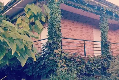 Image de 🌿 Casa com RaĂzes e HistĂłria. É Casa com Alma. É RefĂşgio Para Quem nos Visita