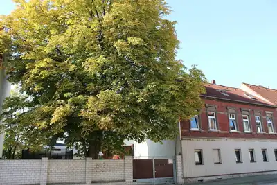 Image de Ferienwohnung Hütchen