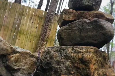 Image de Raven's Nest:  Serenity Awaits