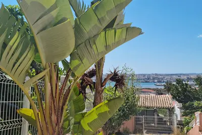Image de Serra e Mar Ferragudo
