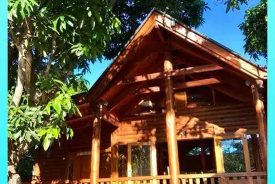 Image de Magical tree house. Close to beach, walks, restaurants. Abundance of nature