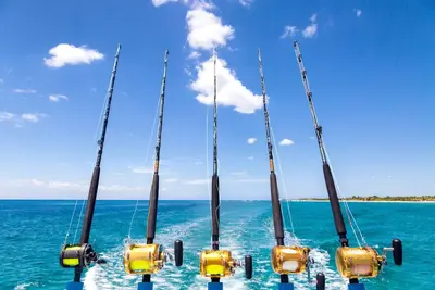 Image de Waterfront Luxury! Gulf Access, Kayaks, Private Dock & More – Your Serene Hernando Beach Retreat!