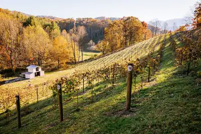 Image de Private Vineyard Getaway!