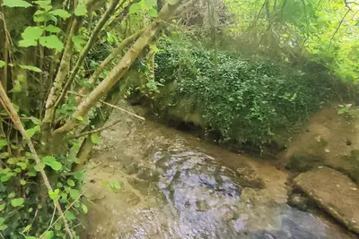 Image de Campement PRIVATISÉ AMÉNAGÉ En Pleine Nature PRÈS Du Zoo De Beauval
