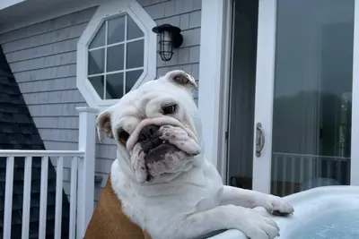 Image de Beautiful home in Newport walking distance to the cliff walk and Bailey’s beach,