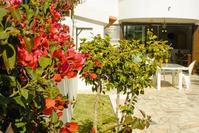 Confortable appartement pour 3 personnes avec Wifi, Tv, terrasse, vue panoramique et parking