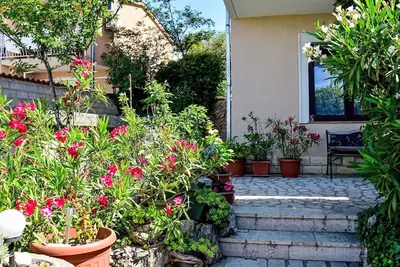 Image de Joli appartement avec Wifi, climatisation, Tv, terrasse, animaux admis et parking