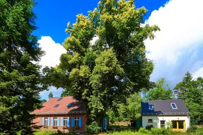 Image de Kulturhof Dretzen - Traumhaft Beherbergt