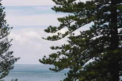 Image de The Seaspray On Main Beach