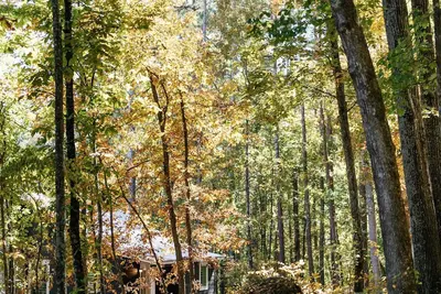 Image de A secluded haven on 5, 000 acres in Nw Georgia, just 45 minutes from Atlanta and Chattanooga, and a quick 10-minute drive to downtown Rome. Explore private trails along the Etowah river, bask in wildlife, and gaze at mesmerizing stars. Your perfect es