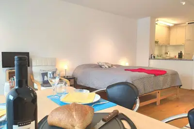 Joli appartement avec Wifi, Tv, balcon, animaux admis, vue panoramique et parking