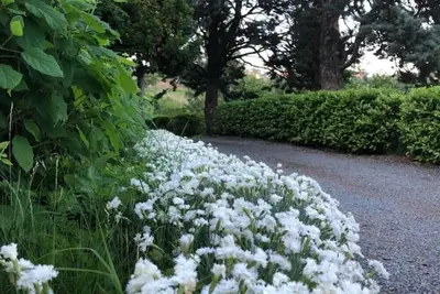 Image de Tenuta Moncarlino - room Terra