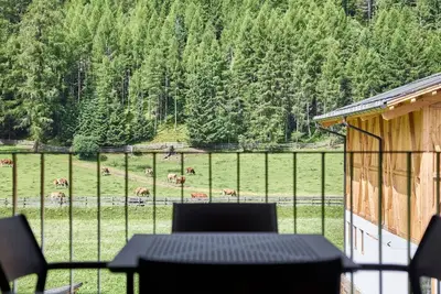 Image de Agréable appartement pour 4 personnes avec Wifi, Tv, terrasse, animaux admis et parking
