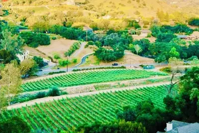 Image de Luxury Retreat, views of Monserate Winery
